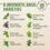 semilla albahaca – Opiniones y Guía de Compra