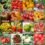 semillas tomate – Opiniones y Guía de Compra