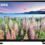 TV Samsung 40 Pulgadas – Opiniones y Guía de Compra